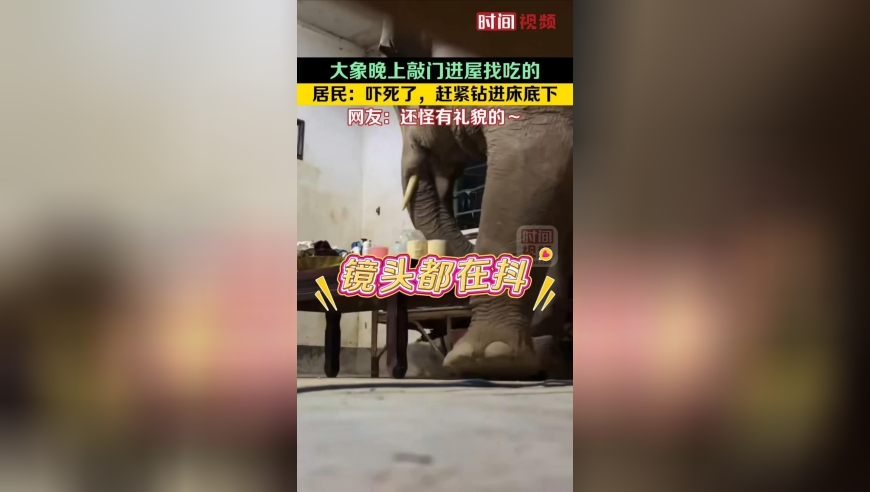 2025管家婆资料大余免,中国采取全球首例反歧视措施,决策资料解释落实_专家版V6.81