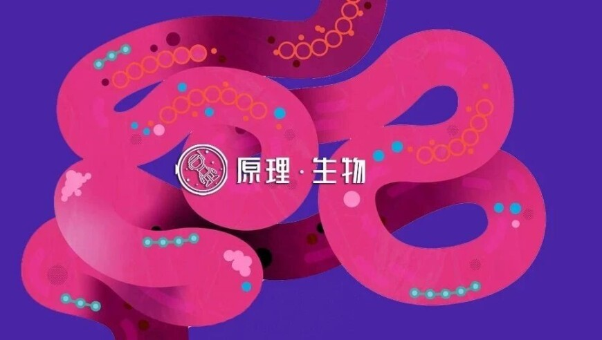 一肖一码100%准确澳门一肖一码,刘亦菲鸿蒙智行智界品牌大使,决策资料解释落实_手游版V8.59